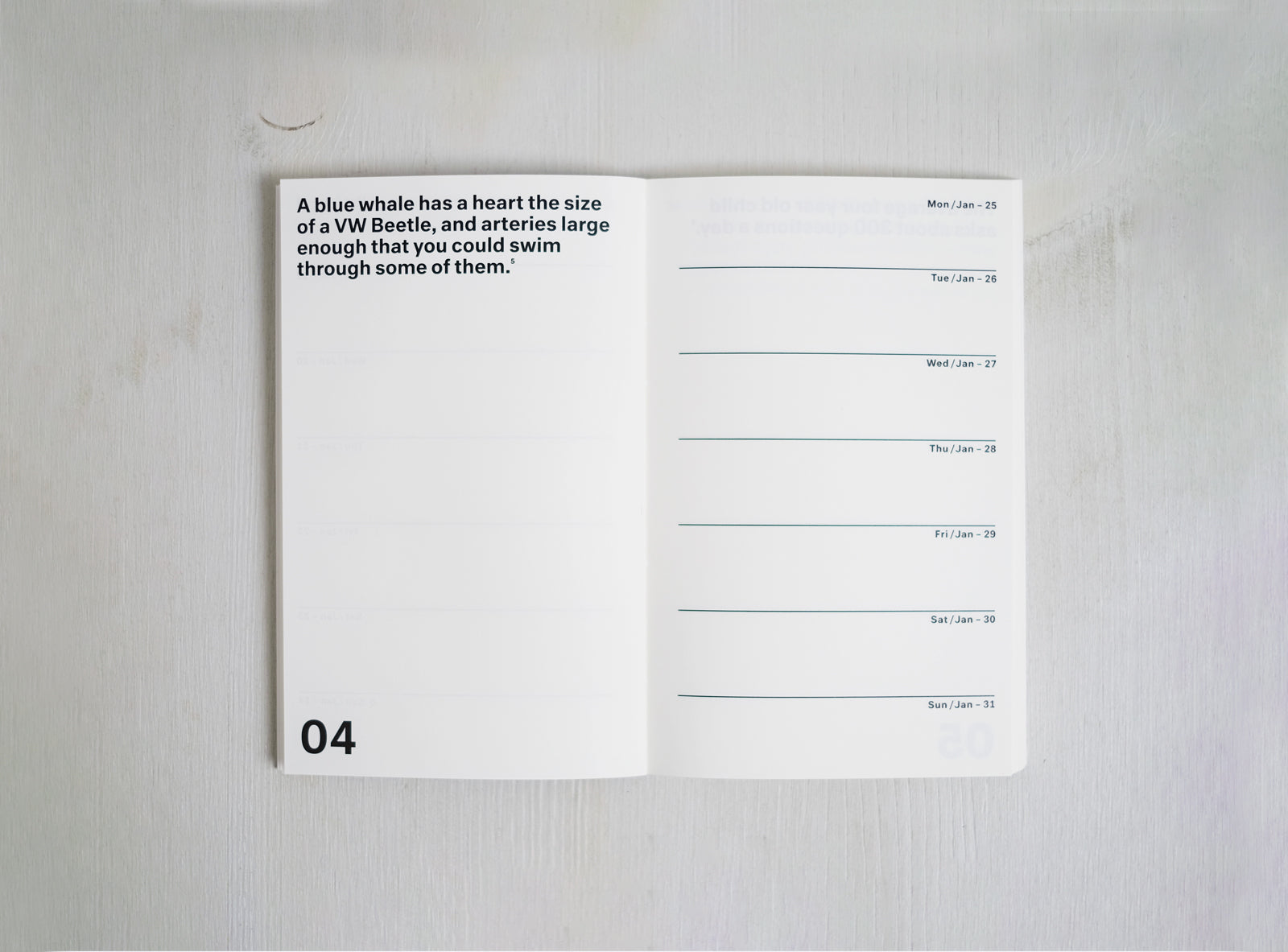 Spread showing the week calendar and a quote from our 2016 planner.
