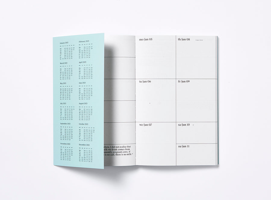 First spread of our 2023 planner with the bandana showing the year calendar.
