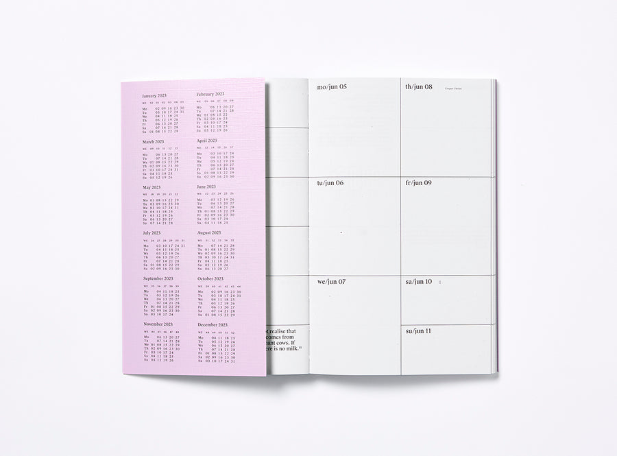 First spread of our 2023 planner with the bandana showing the year calendar.