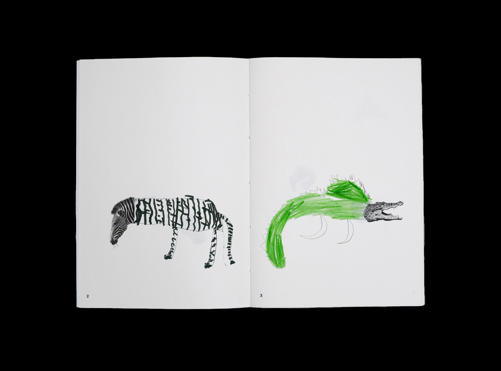 Spread from our Animal Drawing notebook with children drawing.
