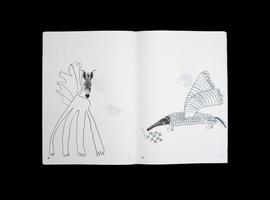 Spread from our Animal Drawing notebook with children drawing.