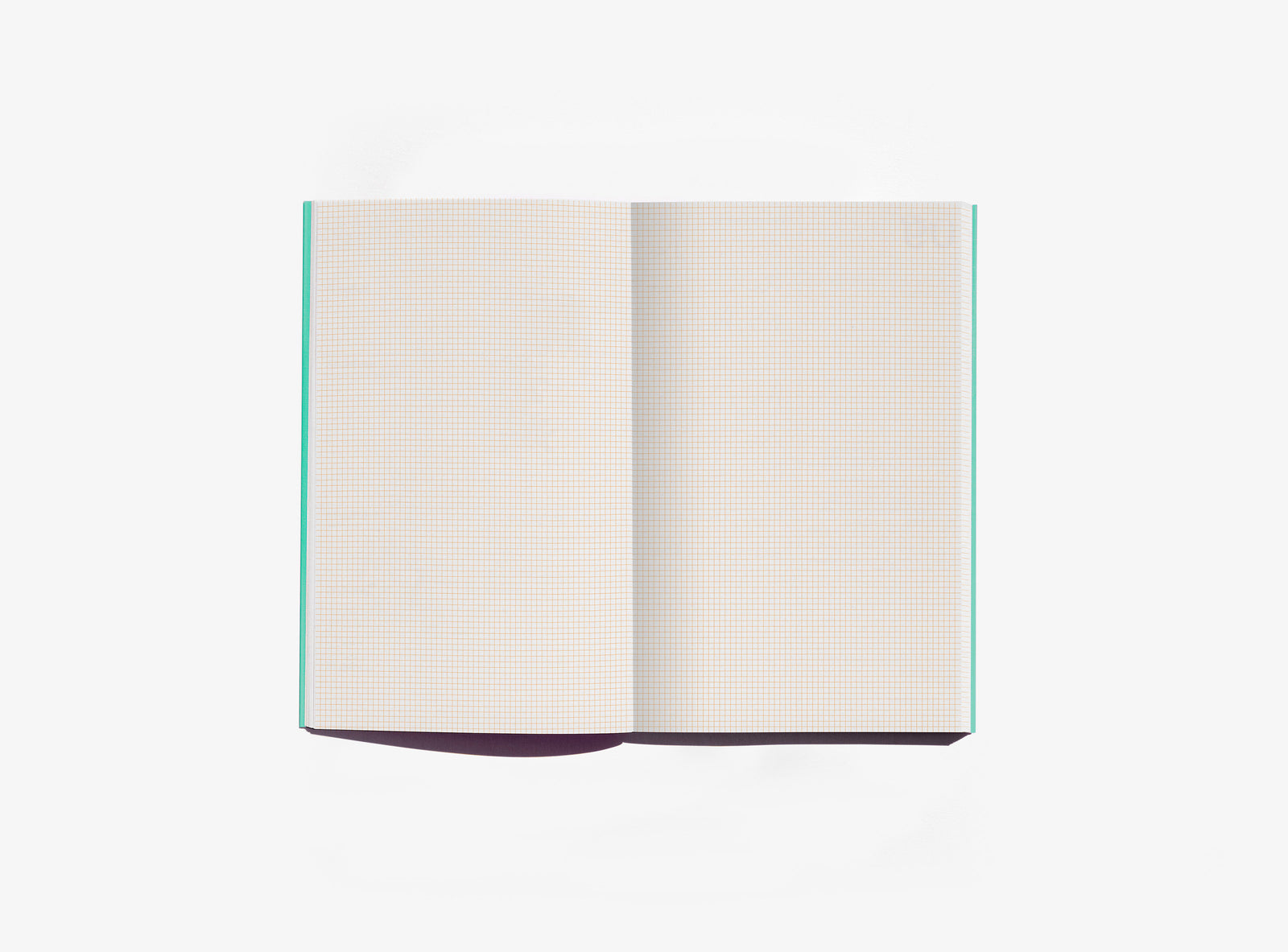 Layout of green notebook with 2mm grid on a white background