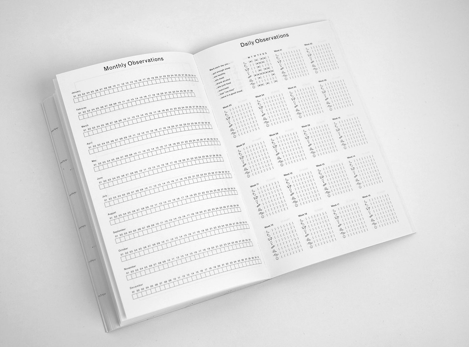 Spread from our 2019 planner showing a monthly observations table and a daily observations.